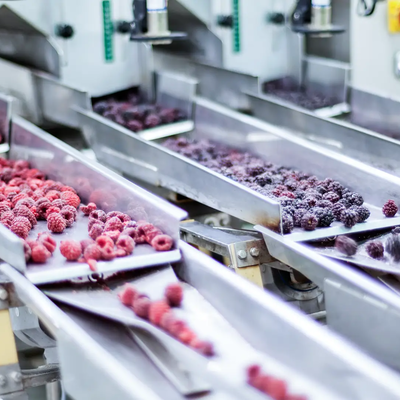 Filtration solutions for the food and beverage industry Filtration solutions for the food and beverage industry